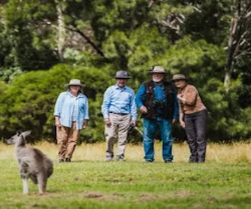 Canberra: Guided Wildlife Tour + Roundtrip Transportation